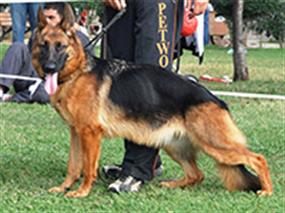 7. Türkiye Şampiyonası 01 Kas 2009