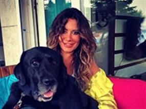 Petworld ailesi yeni sezonda yine çok hareketli