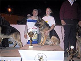 1. Türkiye Şampiyonası 2003 30 Ara 2003