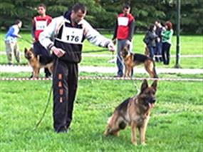 2. Bursa Şampiyonası 19 May 2007
