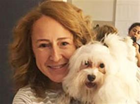 Yeni pansiyonerimiz Maltese Terrier cinsi Köpük