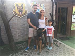 Roxy, temel itaat eğitimini başarıyla tamamladı