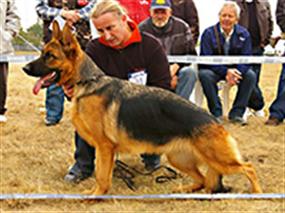 Petworld Yıldızları Avrupa'da Yeni Başarılar Kazandı 12 Kas 2011