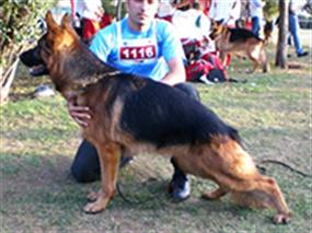 5. Türkiye Şampiyonası 17 Eki 2007