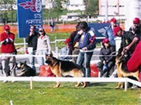2. Türkiye Şampiyonası 2004 10 May 2004