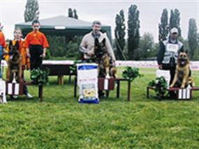 2004 Balkan Şampiyonası 15 Haz 2004