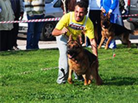 6.Türkiye Şampiyonası 30 Kas 2008