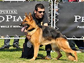 3. Bursa Şampiyonası 01 May 2009