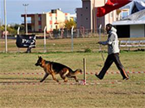 2011 Türkiye Şampiyonası'nda En Başarılı Çiftlik Petworld Oldu 29 Kas 2011