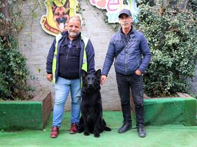 İsmail Bey Siyah Alman Çoban Yavrusuna Kavuştu